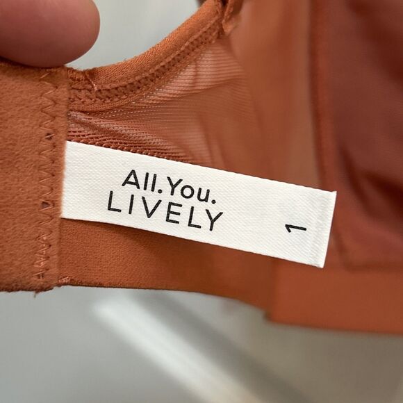 LIVELY Unlined Mesh Bra Size 1 Rust Brown | 32D 32DDD 34D 34DDD | Wireless NWT - Picture 15 of 16